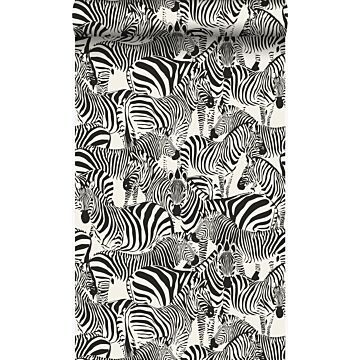 Tapete Zebras Schwarz und Weiß